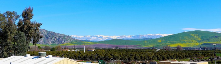 Exeter, CA